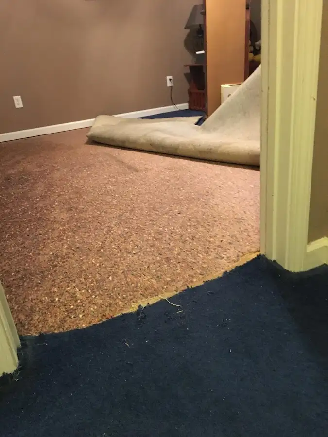 Carpet pad removal revealing water damage during Water Mitigation Services in North Elba